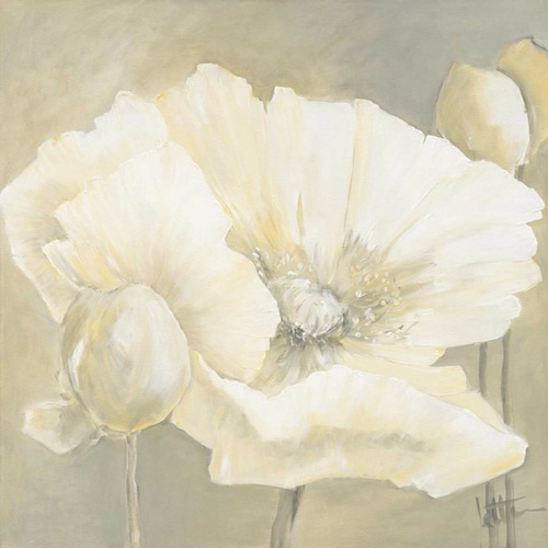 Poppy in white II
