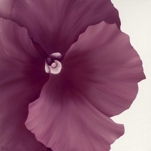 Violet Flower II
