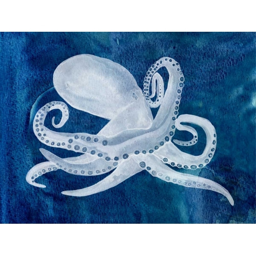 Cephalopod I