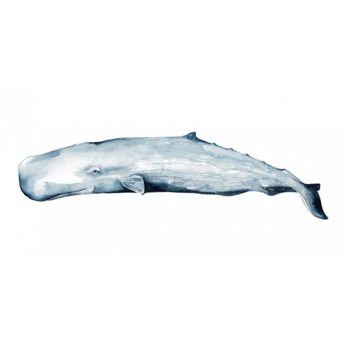Whale Portrait II