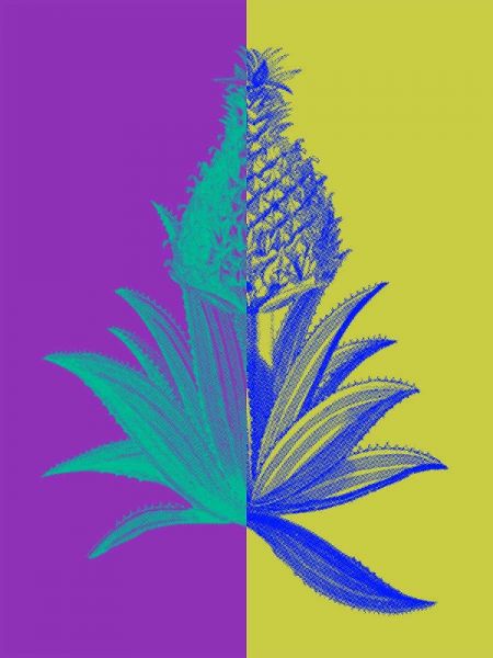 Pineapple Mix II