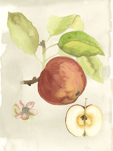 Custom Watercolor Fruit IV (ASH)