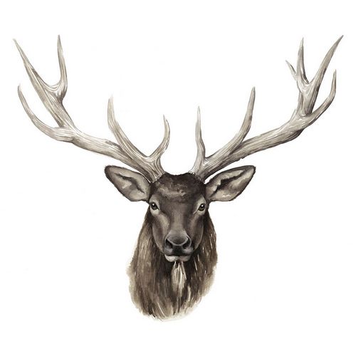 Custom Single Elk
