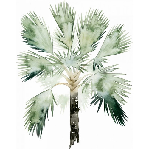 Watercolor Palm of the Tropics I