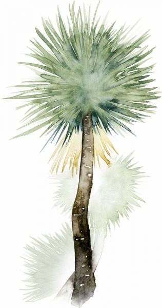 Palm in Watercolor II