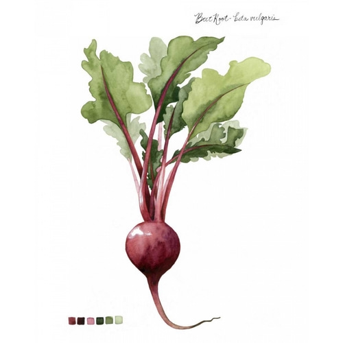Root Vegetable II