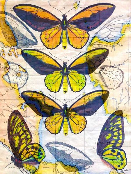 Butterfly Map I
