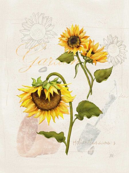 Romantic Sunflower I