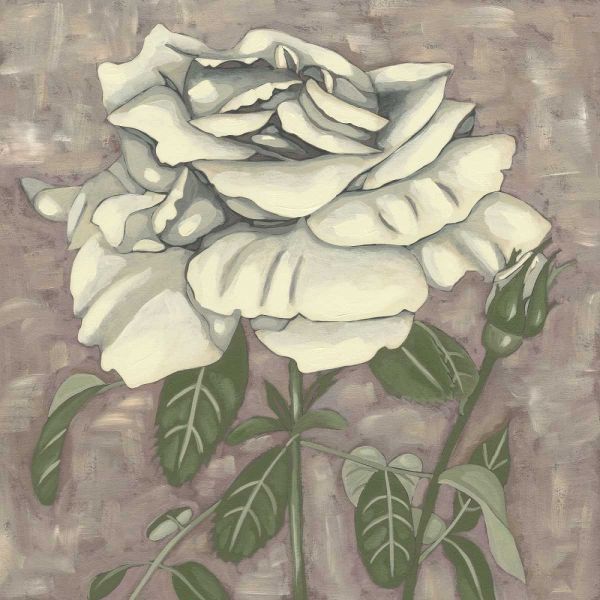 Silver Rose I