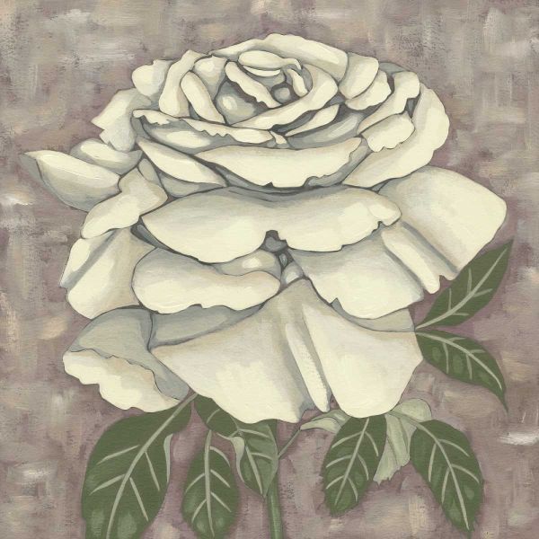 Silver Rose II