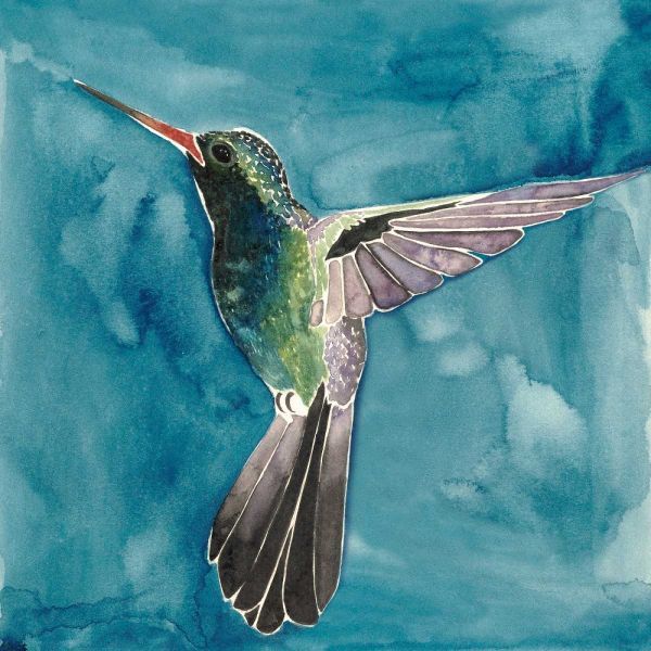 Watercolor Hummingbird II
