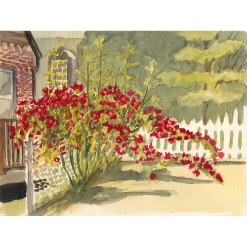 Watercolor Garden VI