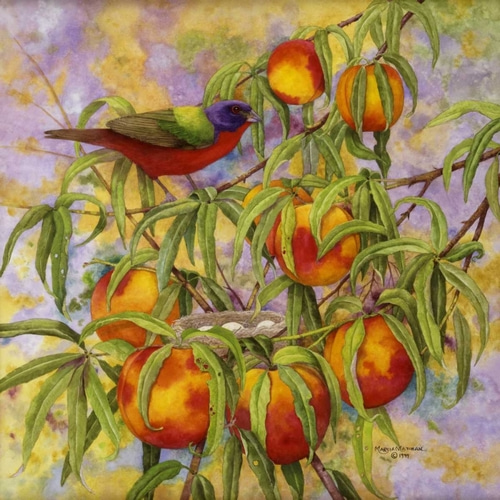 Painted Bunting and Peaches