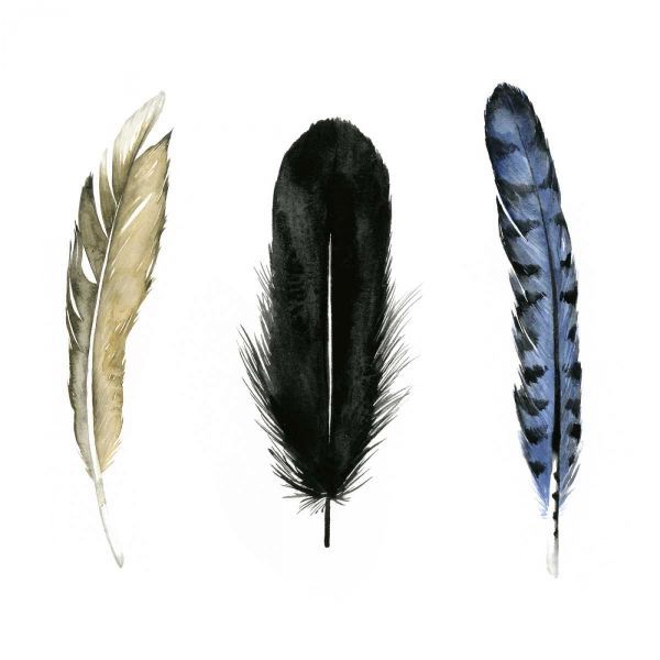 Soft Feathers I