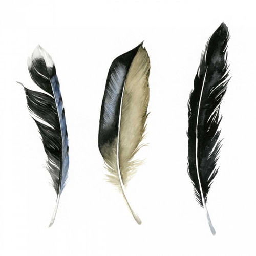 Soft Feathers II