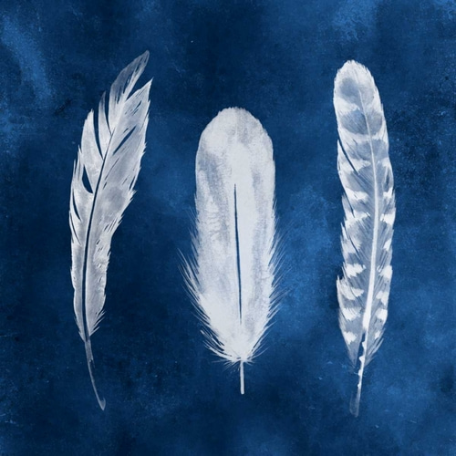 Cyanotype Feathers I