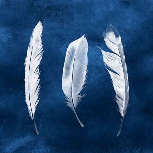 Cyanotype Feathers II