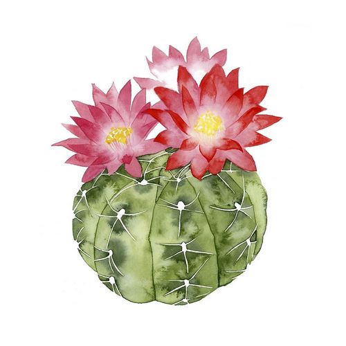 Custom Cactus Bloom III