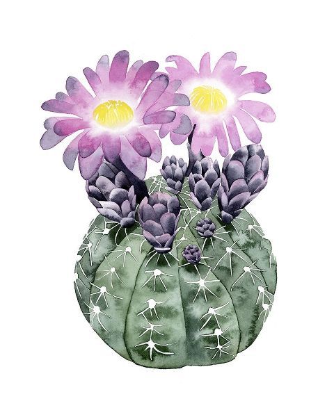 Custom Cactus Bloom IV