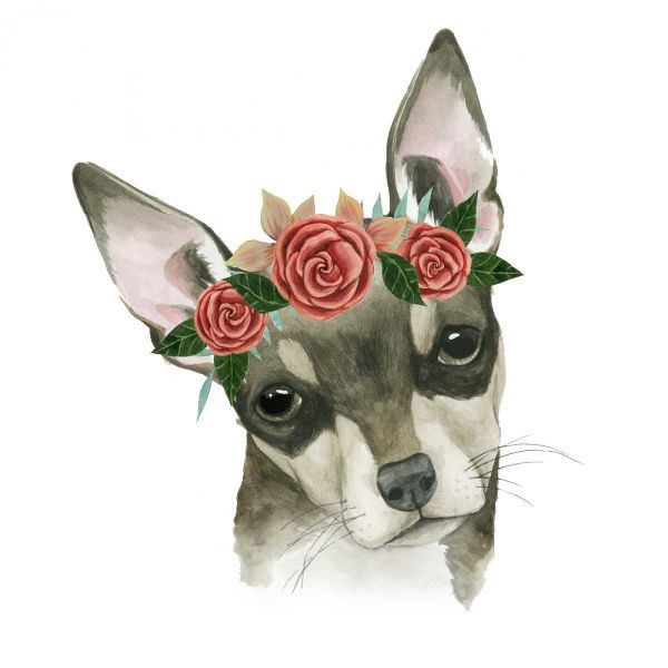 Flower Crown Pup III