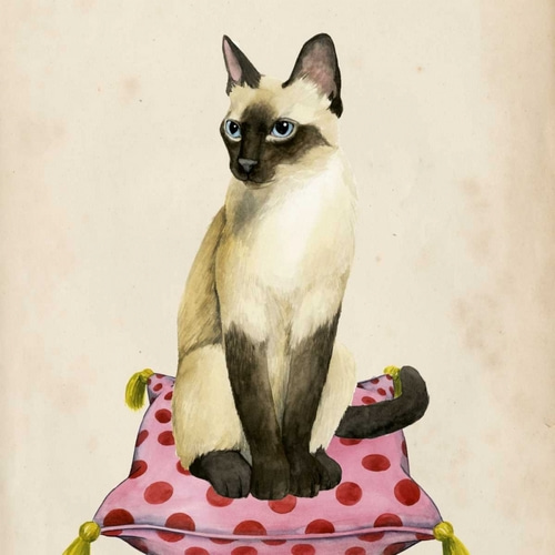 Lady Cat II