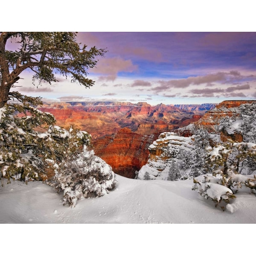 Snowy Grand Canyon II