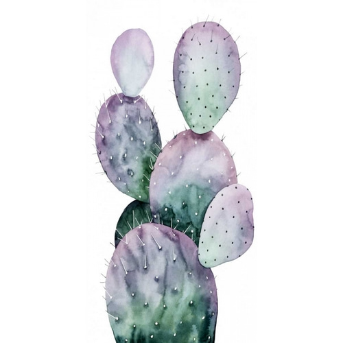 Purple Cactus II