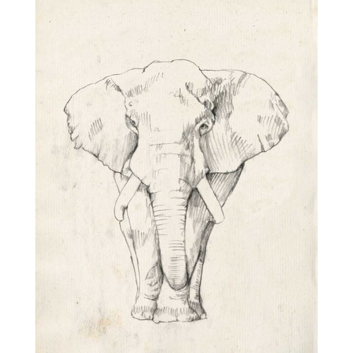 Elephant Portrait I