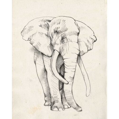 Elephant Portrait II