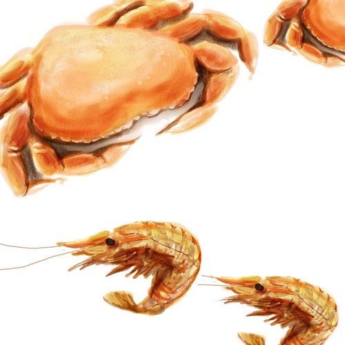 Illustrated Crab