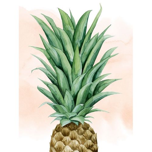 Pineapple on Coral II