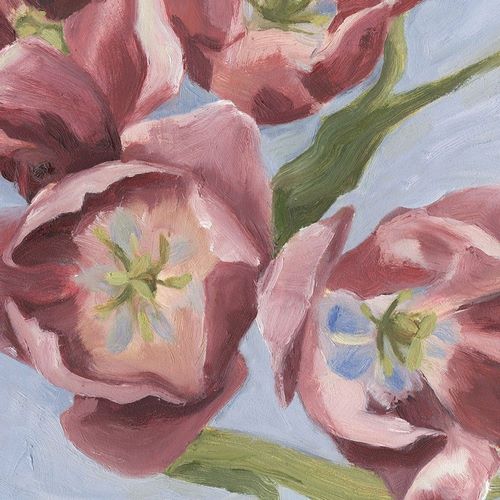 Mauve Tulips I