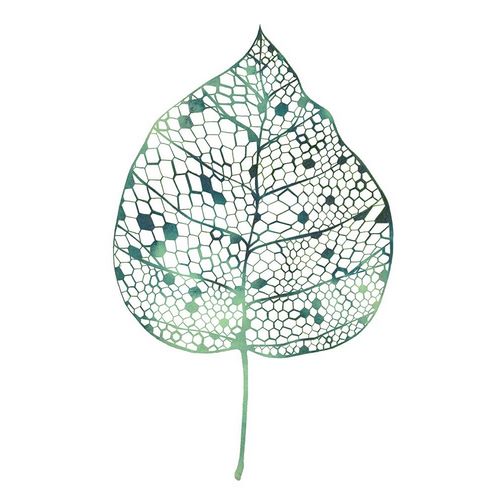 Veiled Leaf II
