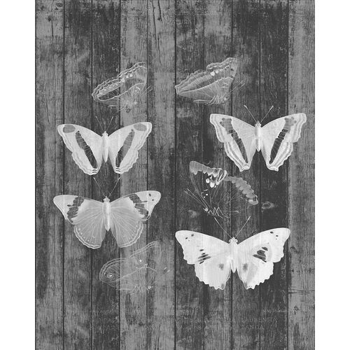 Rustic Butterfly Chart I