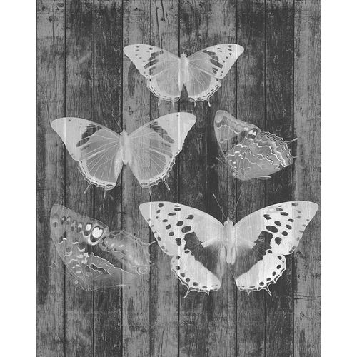 Rustic Butterfly Chart II