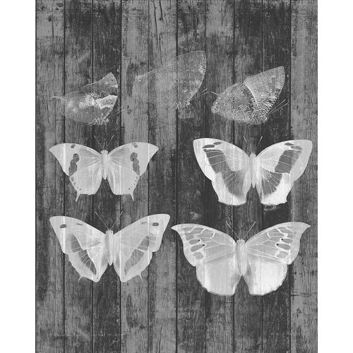 Rustic Butterfly Chart III