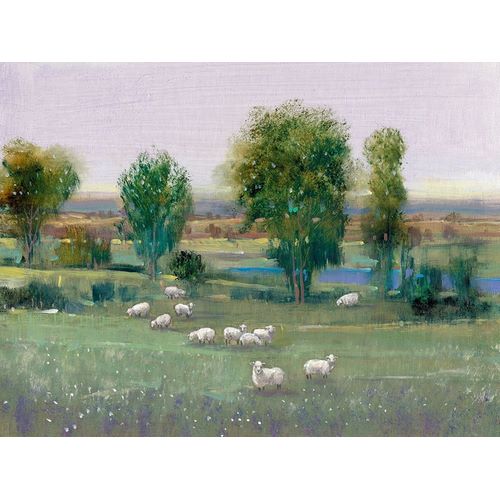 Field of Sheep I
