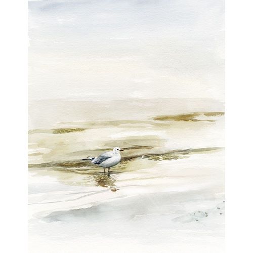 Coastal Gull I