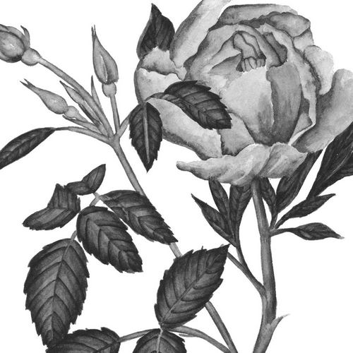 Flowers in Grey I