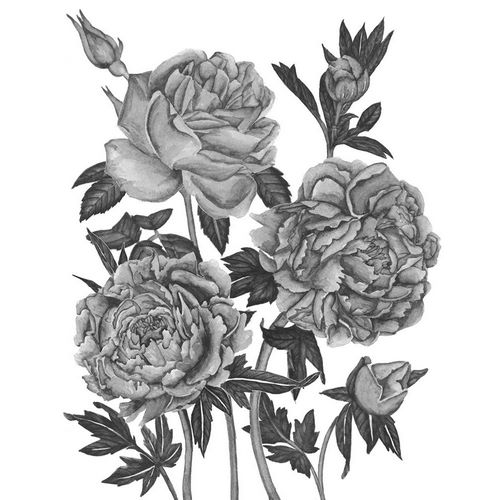 Flowers in Grey VI