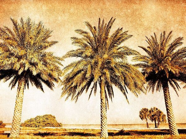Palms on Brown II