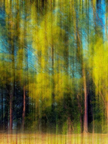 Tree Blur I