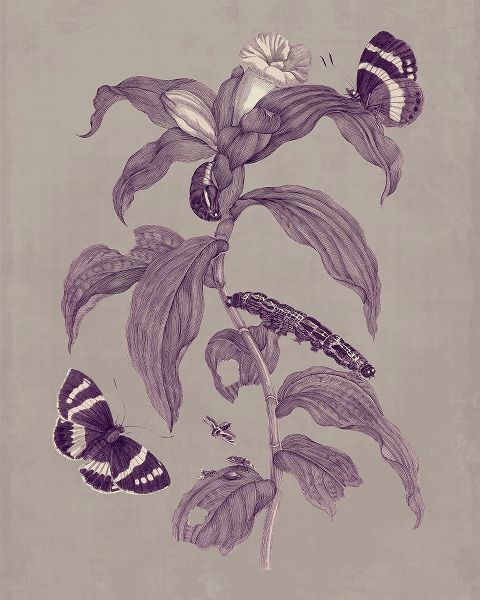 Nature Study in Plum and Taupe I