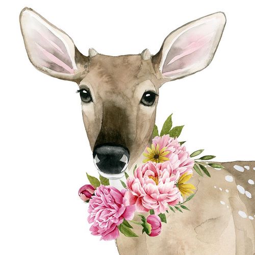Deer Spring II