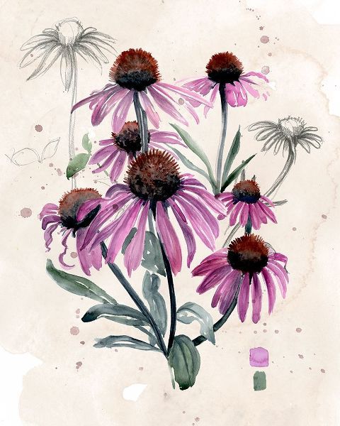 Purple Wildflowers I