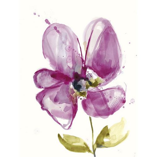 Violet Petals II
