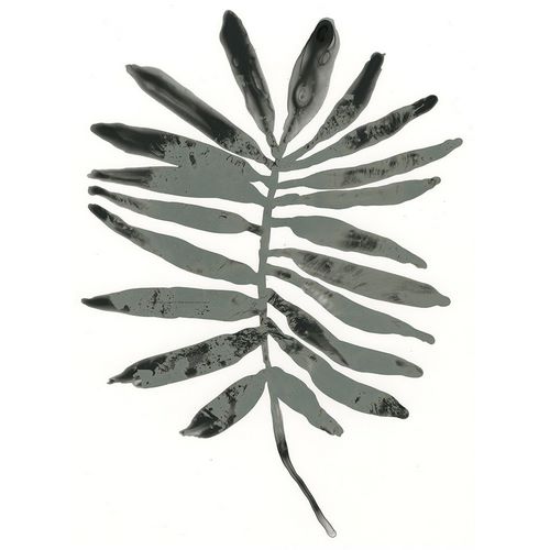 Foliage Fossil VII