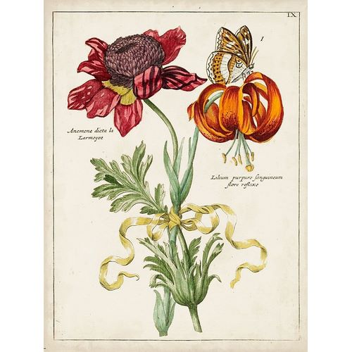 Botanical Bouquet II
