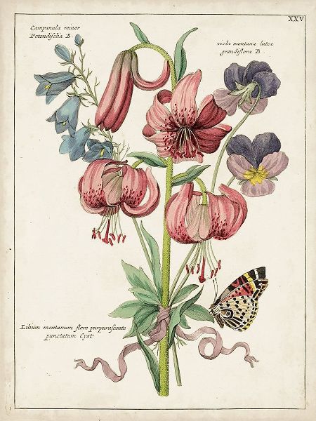 Botanical Bouquet III