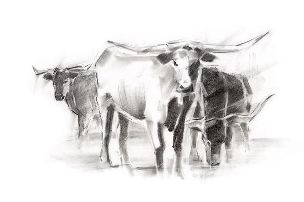 Contemporary Cattle II